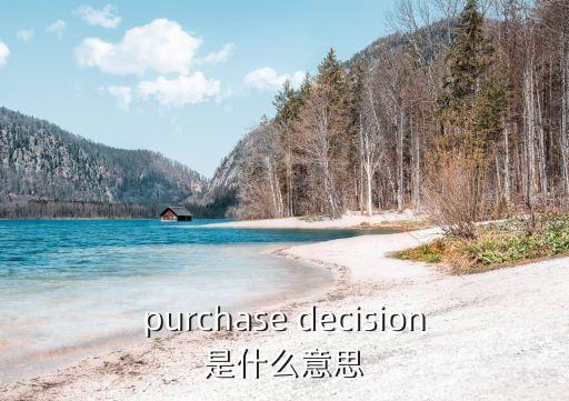 purchase decision是什么意思