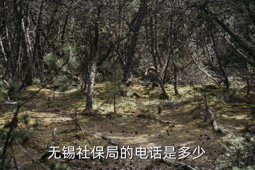 無(wú)錫社保咨詢電話，無(wú)錫社保局電話號(hào)碼是多少