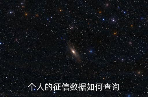 個人的征信數(shù)據(jù)如何查詢