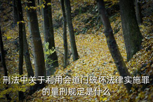 刑法中關(guān)于利用會(huì)道門破壞法律實(shí)施罪的量刑規(guī)定是什么