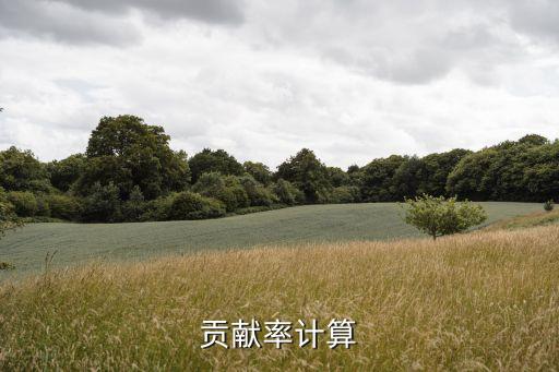 社會貢獻(xiàn)總額計(jì)算公式，如何計(jì)算社會貢獻(xiàn)率