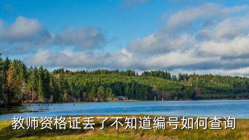 教師資格證丟了不知道編號如何查詢
