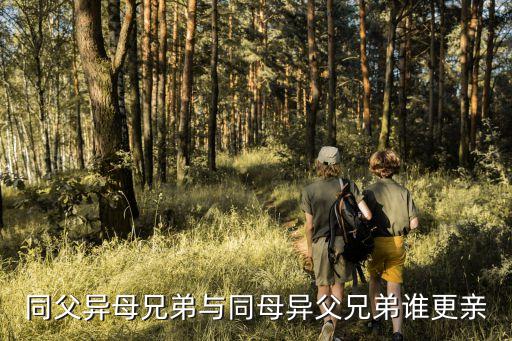 異母兄弟，同父異母的兄弟算不算胞兄弟