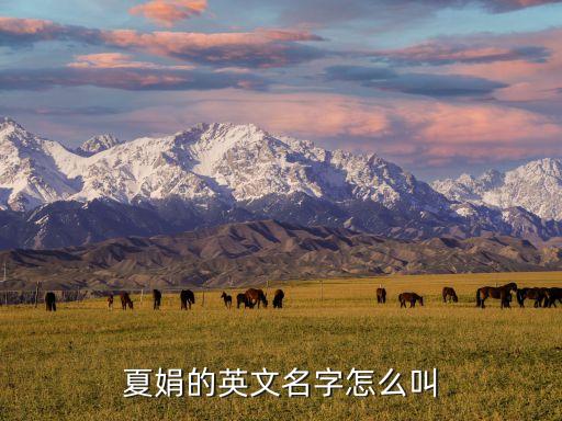 夏娟的英文名字怎么叫