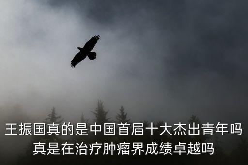 王振國，王振國真的是中國首屆十大杰出青年嗎真是在治療腫瘤界成績卓越嗎