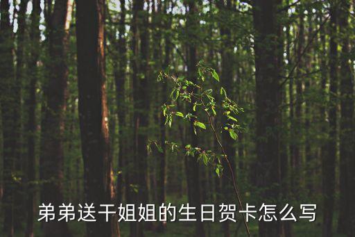 弟弟干姐姐，弟弟送干姐姐的生日賀卡怎么寫