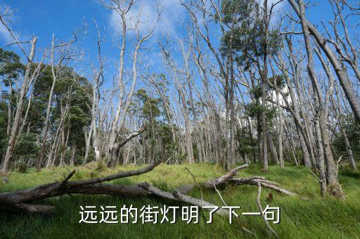 遠(yuǎn)遠(yuǎn)的街燈明了，遠(yuǎn)遠(yuǎn)的街燈明了下一句