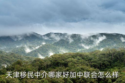 天津移民中介哪家好加中聯(lián)合怎么樣