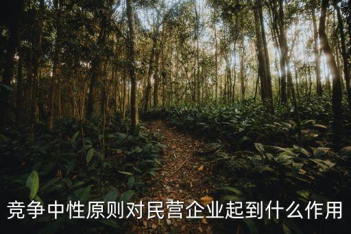 競爭中性原則對民營企業(yè)起到什么作用