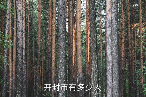 開封市人口，開封市有多少人