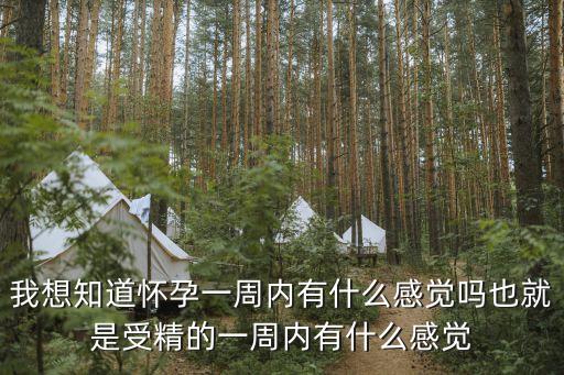 一周之內(nèi)，一周內(nèi)是什么意思