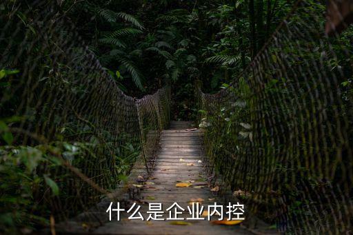 企業(yè)內(nèi)控，什么是內(nèi)控管理