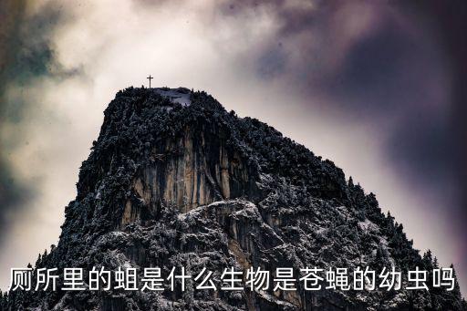塘渣是什么，廁所里的蛆是什么生物是蒼蠅的幼蟲嗎