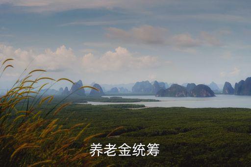 養(yǎng)老統(tǒng)籌，養(yǎng)老金統(tǒng)籌