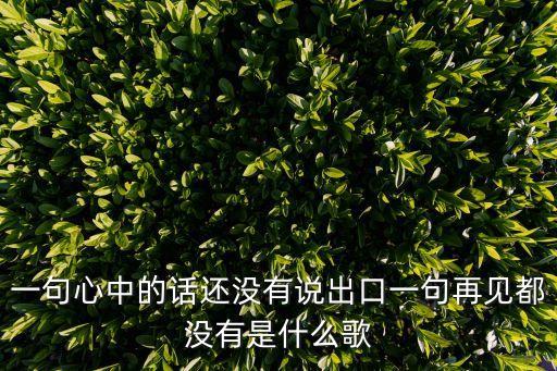 一句心中的話還沒有說出口一句再見都沒有是什么歌