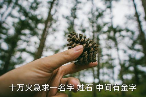 十萬火急求一名字 姓石 中間有金字