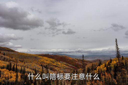 陪標(biāo)是什么意思，什么叫陪標(biāo)要注意什么