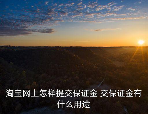 淘寶網(wǎng)上怎樣提交保證金 交保證金有什么用途