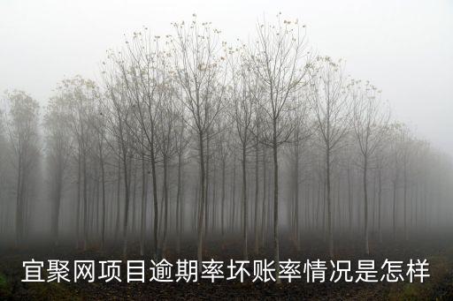宜聚網(wǎng)項(xiàng)目逾期率壞賬率情況是怎樣