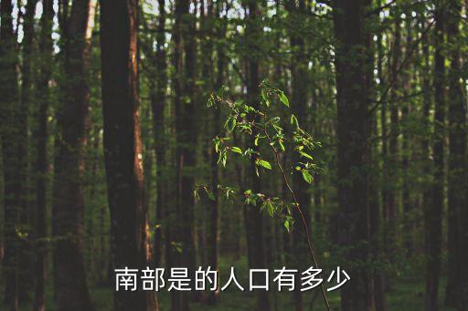 南部是的人口有多少