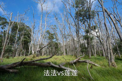 法法，為什么叫黃子韜法法