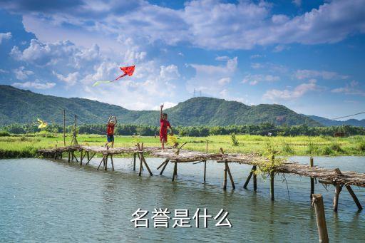 名譽(yù)是什么
