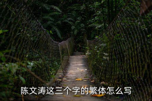 陳文濤這三個字的繁體怎么寫