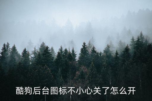 酷狗后臺圖標(biāo)不小心關(guān)了怎么開