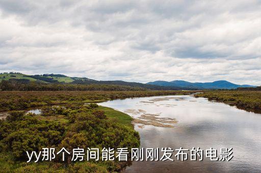 yy那個房間能看剛剛發(fā)布的電影