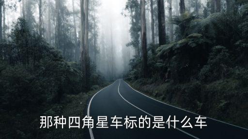 標(biāo)的車，那種四角星車標(biāo)的是什么車