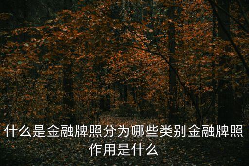 金融牌照，什么是金融牌照分為哪些類別金融牌照作用是什么