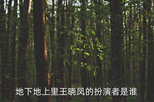 地下地上里王曉鳳的扮演者是誰
