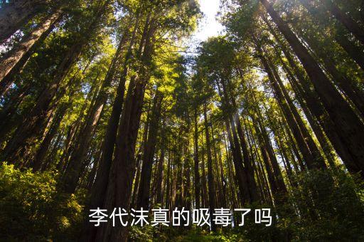 李代沫吸毒，李代沫真的吸毒了嗎