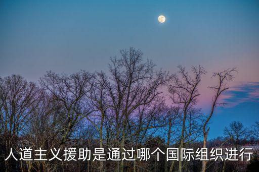 國際救援組織，國際救援組織的IAG和SOS的區(qū)別