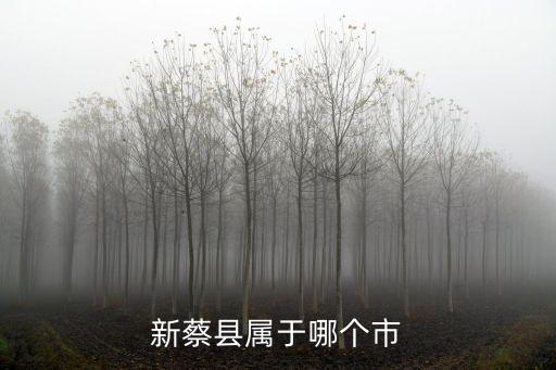 新蔡縣屬于哪個(gè)市