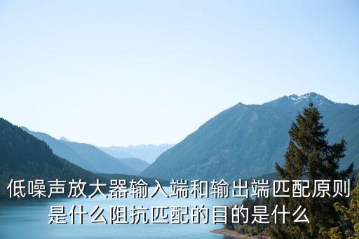 低噪聲放大器輸入端和輸出端匹配原則是什么阻抗匹配的目的是什么