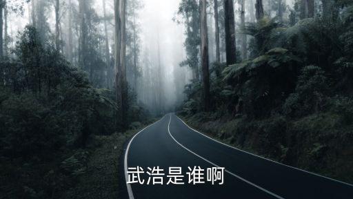 武浩是誰啊
