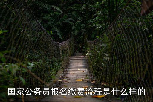國考繳費，國考交費是什么意思