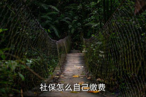 社保怎么自己繳費