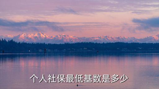 社保最低標(biāo)準(zhǔn)，個(gè)人社保最低基數(shù)是多少