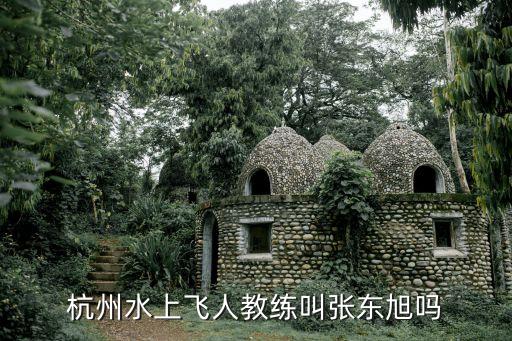 張東旭，張東旭曾出過(guò)一本名叫我是天使我不騙你想知道他是否出了新