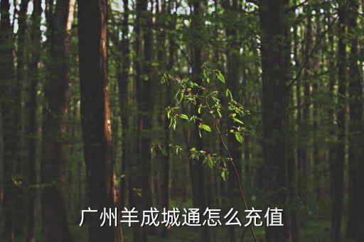 廣州羊成城通怎么充值