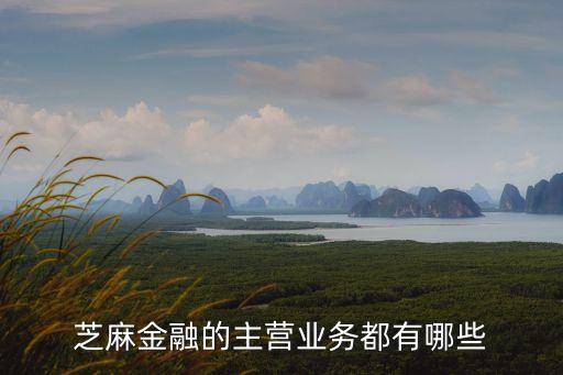 芝麻金融的主營業(yè)務(wù)都有哪些