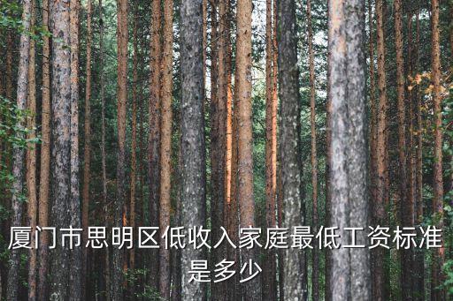 廈門市思明區(qū)低收入家庭最低工資標(biāo)準(zhǔn)是多少