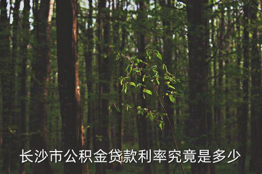 長沙商業(yè)貸款利率，長沙市公積金貸款利率究竟是多少