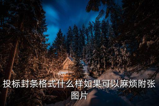 投標(biāo)封條格式什么樣如果可以麻煩附張圖片