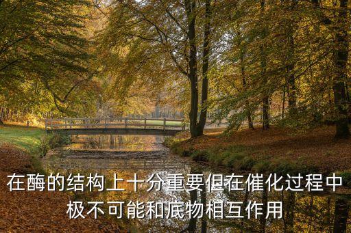 在酶的結(jié)構(gòu)上十分重要但在催化過程中極不可能和底物相互作用