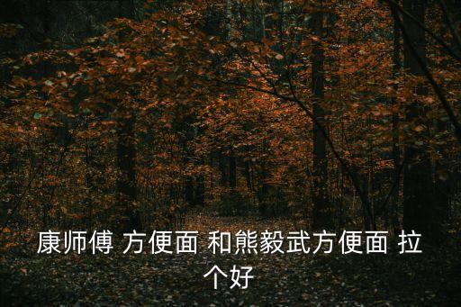 康師傅 方便面 和熊毅武方便面 拉個好