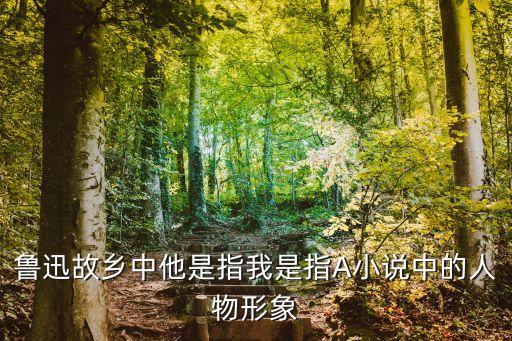 他我，魯迅故鄉(xiāng)中他是指我是指A小說中的人物形象