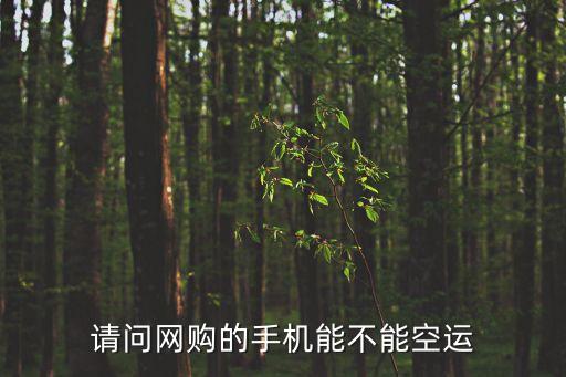 手機可以空運嗎，手機能走空運嗎